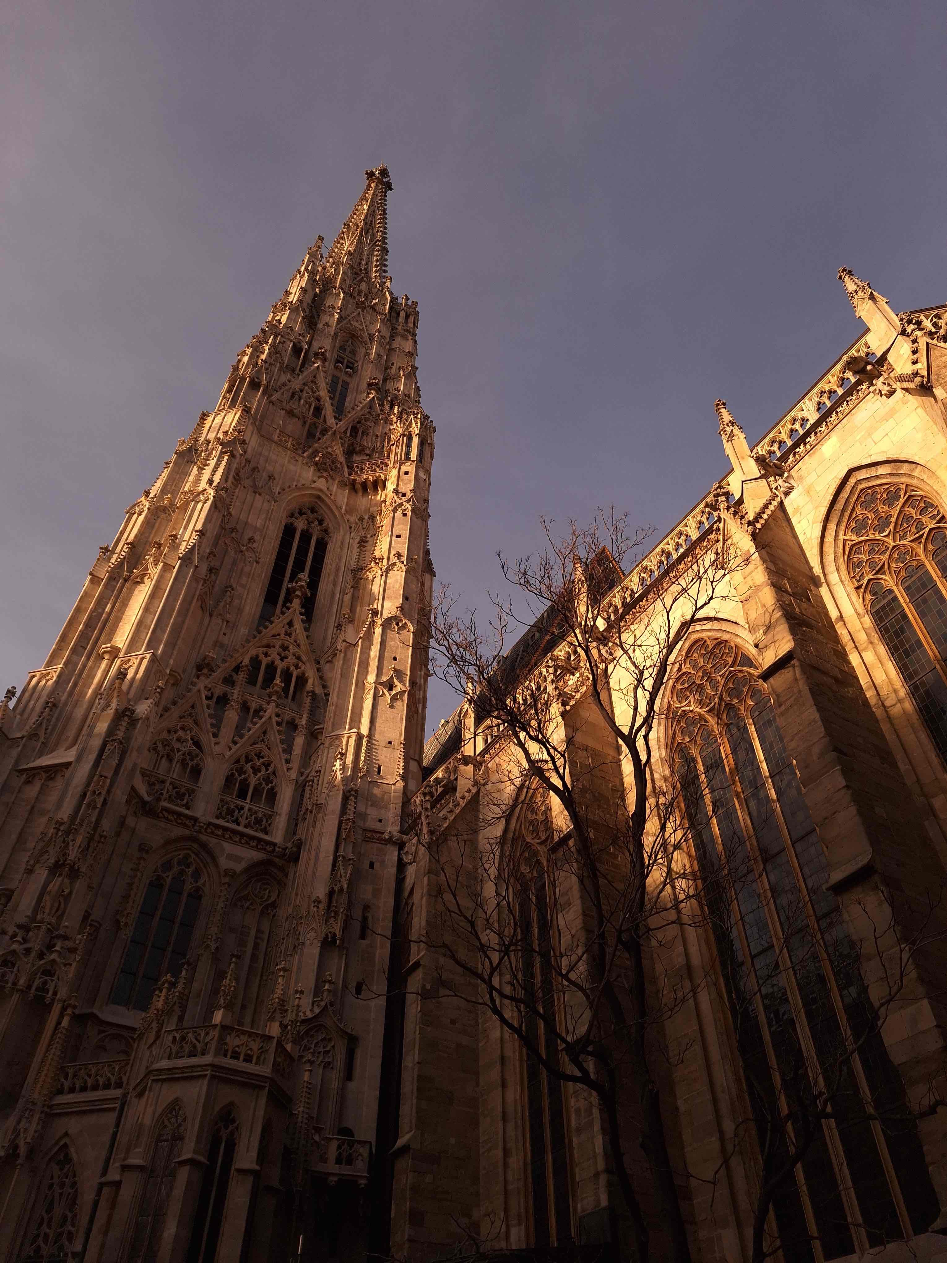 vienna_202