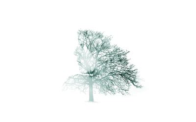 Una cosa non è reale finché non la vedi