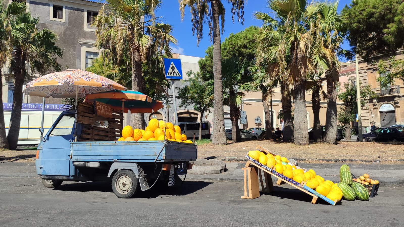 meloni a catania