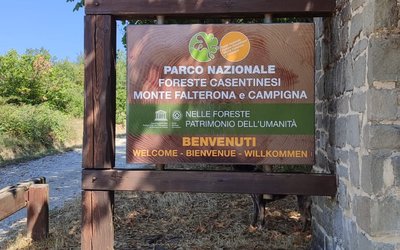 Il Parco Nazionale delle Foreste Casentinesi: Patrimonio UNESCO nell'Appennino Tosco-Emiliano
